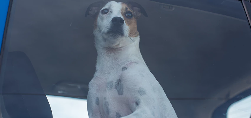 Car Lockout Solutions in Colton, California